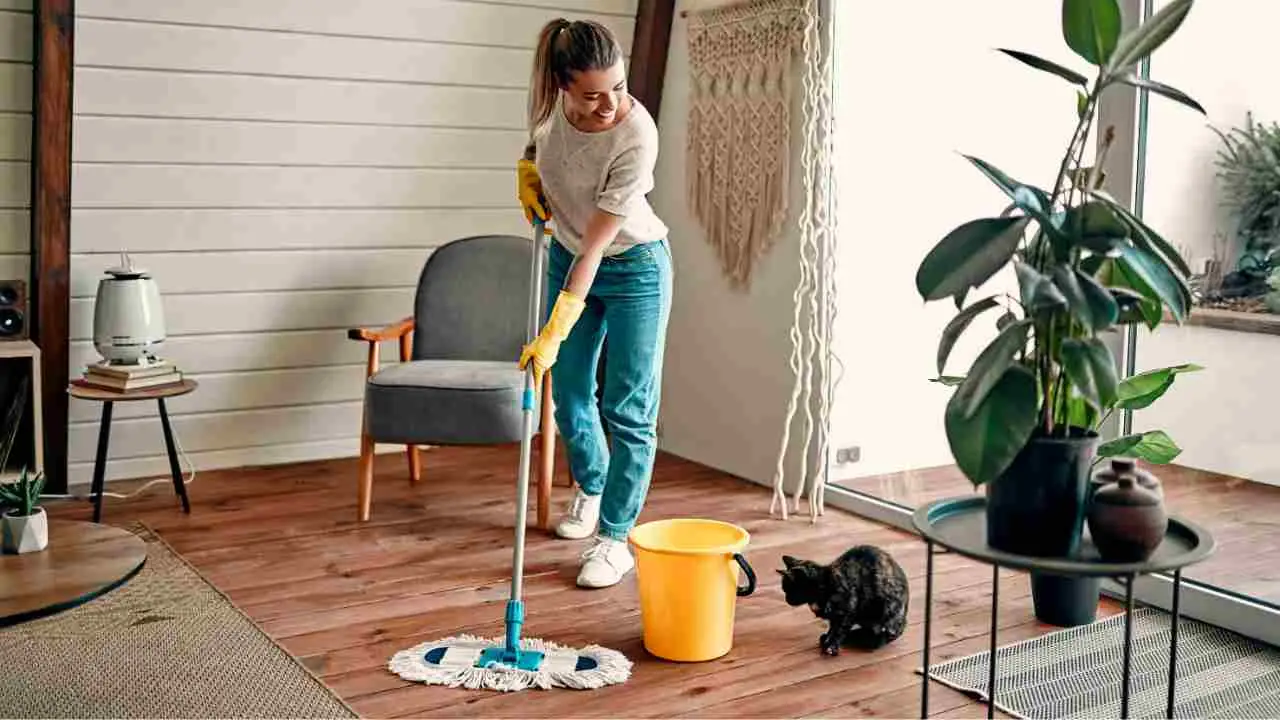 Sfida di velocità: quanto tempo ci vuole per pulire una casa di 100 mq e quando è indispensabile chiedere aiuto