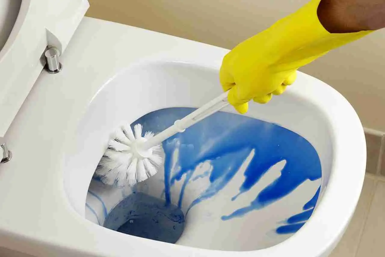 Wc incrostato e ingiallito? Ecco il metodo naturale per sbiancarlo senza candeggina