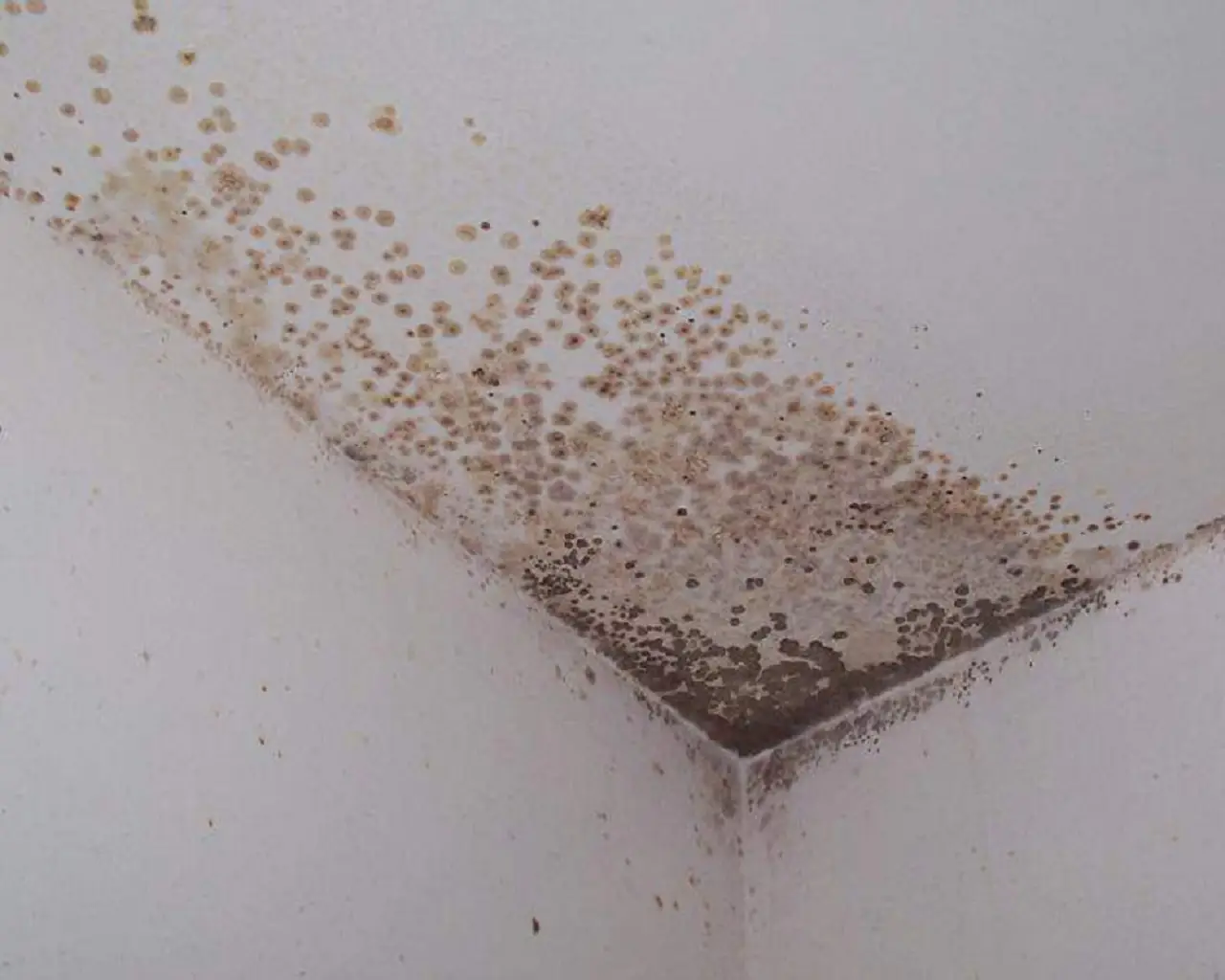 La tua casa è sempre umida e fredda? Ecco il trucco economico per risolvere subito