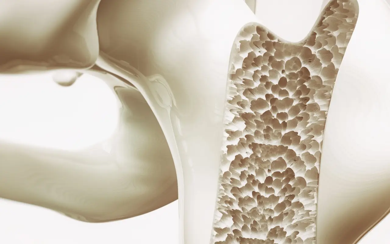 Prendi calcio per l’osteoporosi? Ecco come assumerlo correttamente per rinforzare davvero le ossa