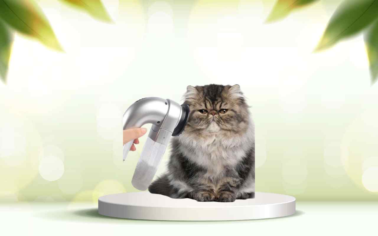 Dì addio ai peli degli animali in casa con SpazzolAmica: scopri la soluzione facile